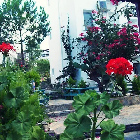 ホテル Beste Hotel