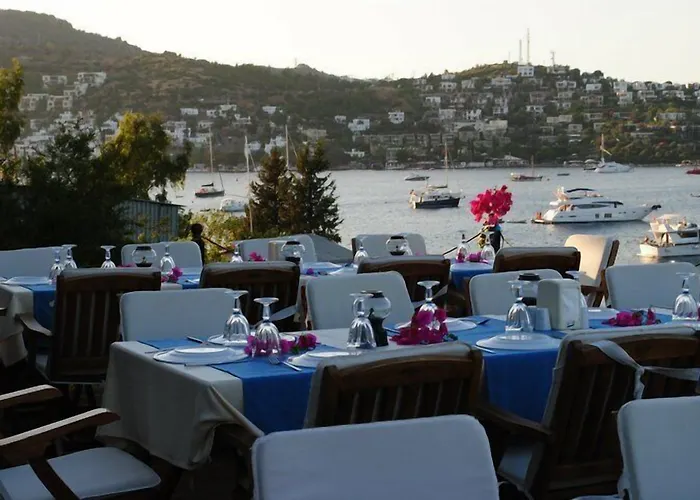 Hotel Beste Hotel Golturkbuku