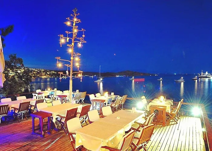 Beste Hotel מלון *